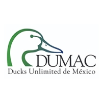 cliente_0002_dumac